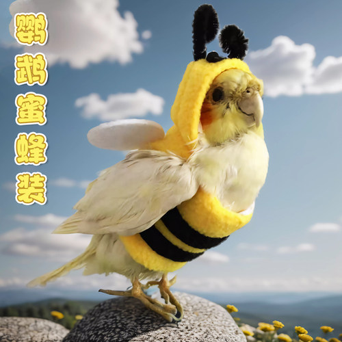 鹦鹉斗篷披风衣服过披风牡丹鹦鹉小鸟虎皮玄凤鸟蜜蜂装