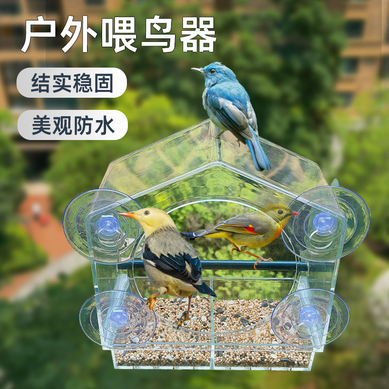 小鸡饲料喂食器户外喂鸟器阳台窗外高楼吃投食器亚克力小吸盘食盒