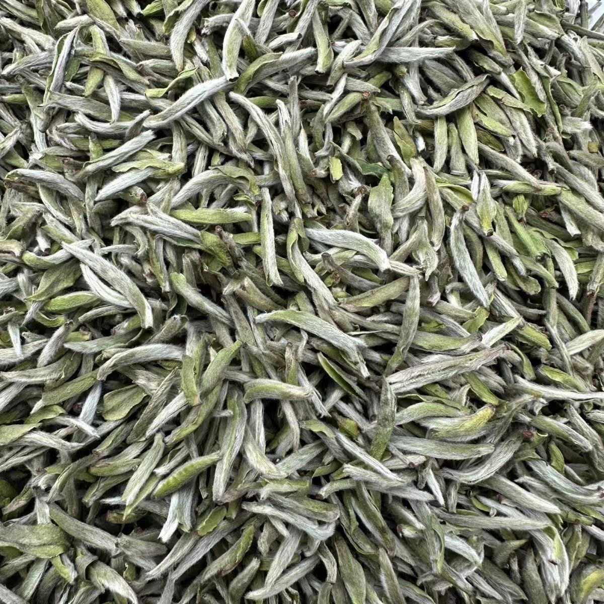 正宗2026福鼎白毫银针散装高山白茶茶叶福鼎特级福鼎白茶白毫银针