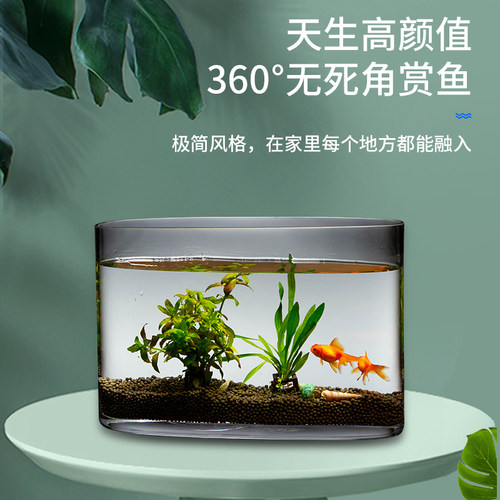 椭圆口玻璃鱼缸长方形客厅小型金鱼缸创意水族箱家用生态造景装饰 - 封面