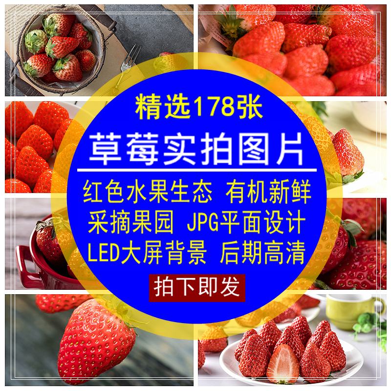草莓实拍图片素材水果红色生态有机新鲜采摘园LED大屏背景无水印