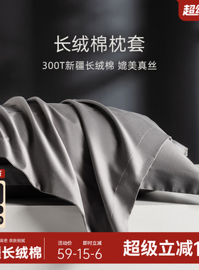 五星级酒店专用100支纯棉长绒棉枕套48x74cm一对装家用全棉枕头套