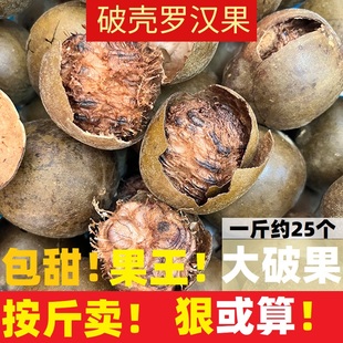 广西桂林特产特大破壳罗汉果干果泡茶非野生破果花茶 5斤 散装