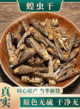 蚂蚱干中药材蝗虫五谷虫无添加