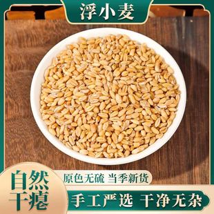 浮小麦中药材浮麦子止汗盗汗小麦瘪子浮水麦瘪小麦天然包邮500g克