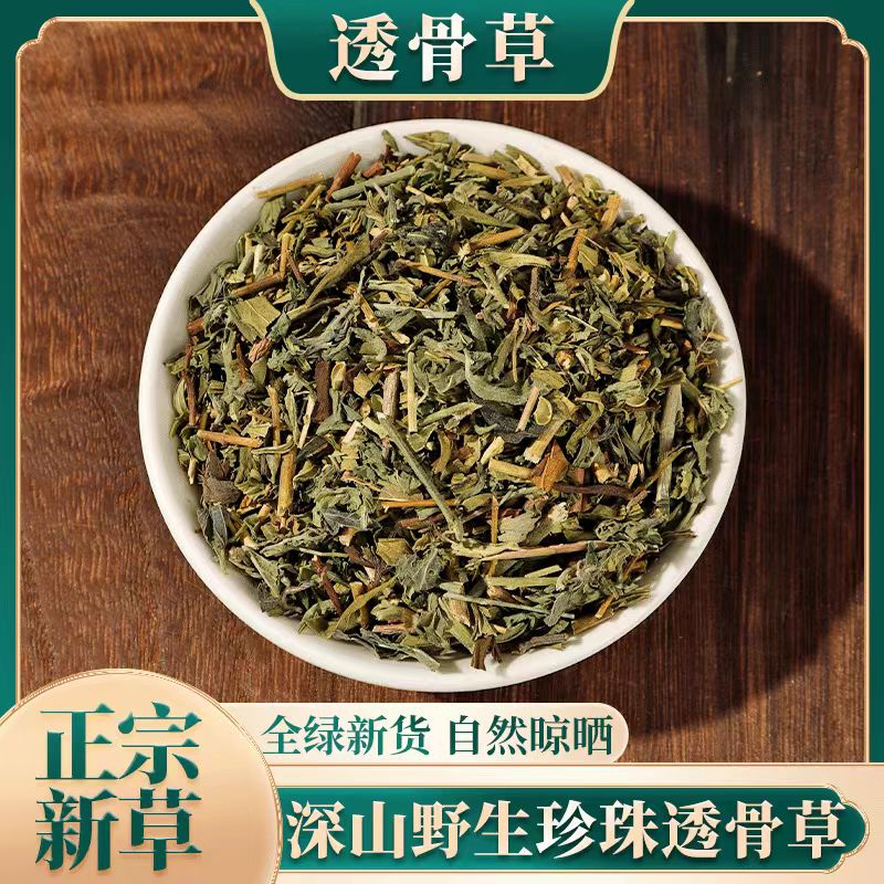 珍珠透骨草中药材正品透骨草