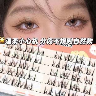 分段式 透明梗单簇自然小恶魔假睫毛太阳花混血不规则睫毛 轻泰式