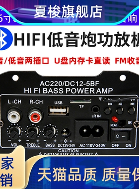 大功率低音炮功放板内置蓝牙模块音箱主板220V12V24V家庭车载适用