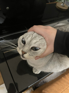 【群友专用提前享用链接】