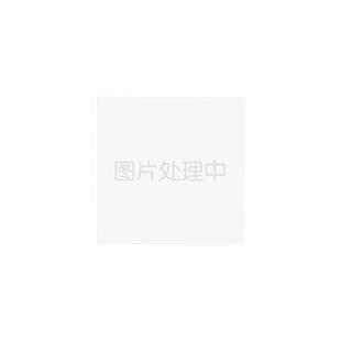 日本进口BJK冲压外圈满针英制穿孔型滚针轴承SCH1612 1616 186