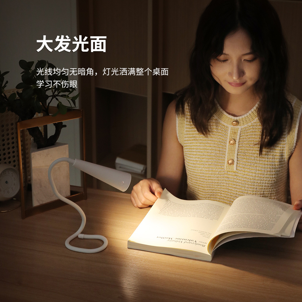 C31软管创意灯可弯曲宿舍书桌床上学习ins风充插两用夜灯