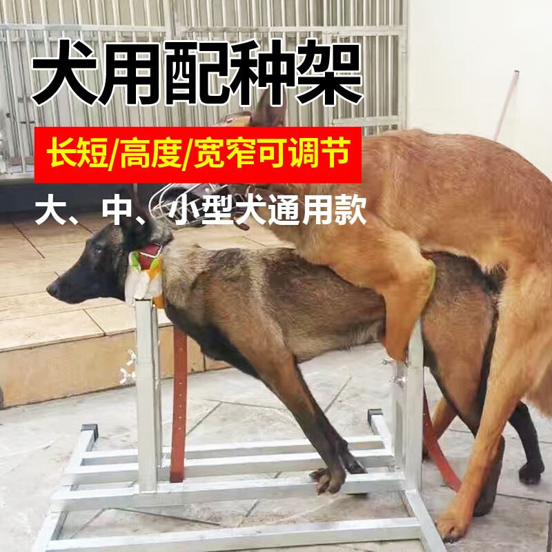 小犬交配各种小型牧犬斗狗德牧使用专用架子大中小适用配狗架前