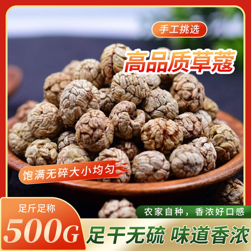 草蔻包邮 草寇仁草豆蔻草寇草扣草冦老蔻粉卤料香料调料大料