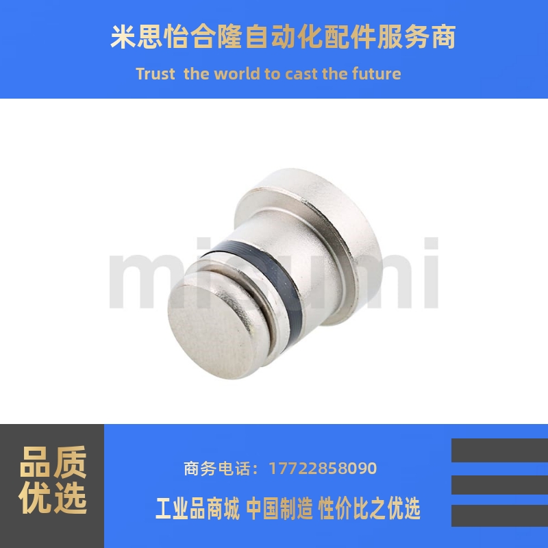 直线导轨用定位销 偏心销LLT3.5 LLT5 LLTS5 ICE11-T5不锈钢LLTA5