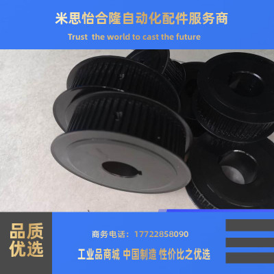 高扭矩同步带轮HTPM48S5M100/150/250-A HTPM32S米思米型替代