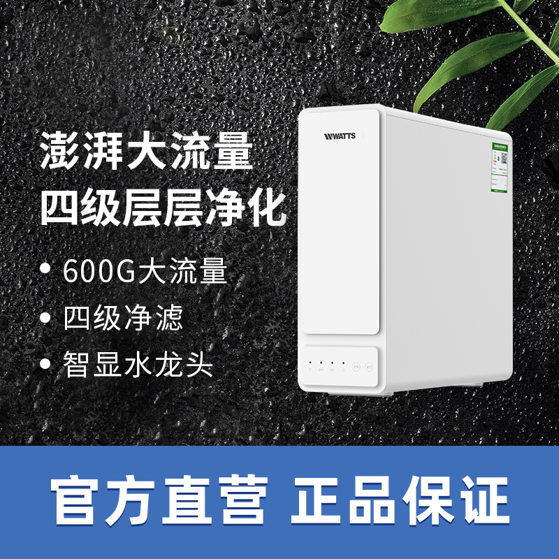 美国沃茨家用直饮净水器厨房ro反渗透自来水过滤器净水机PWRO-2DS
