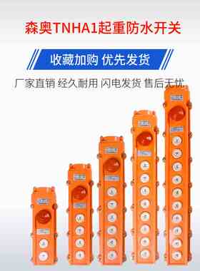 森奥TNHA1 COB-61H/62H63H64H65H行吊车葫芦操作按钮起重防水开关