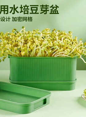 家用豆芽盆水培种植盒带盖大容量加密网格易脱模绿色长方形