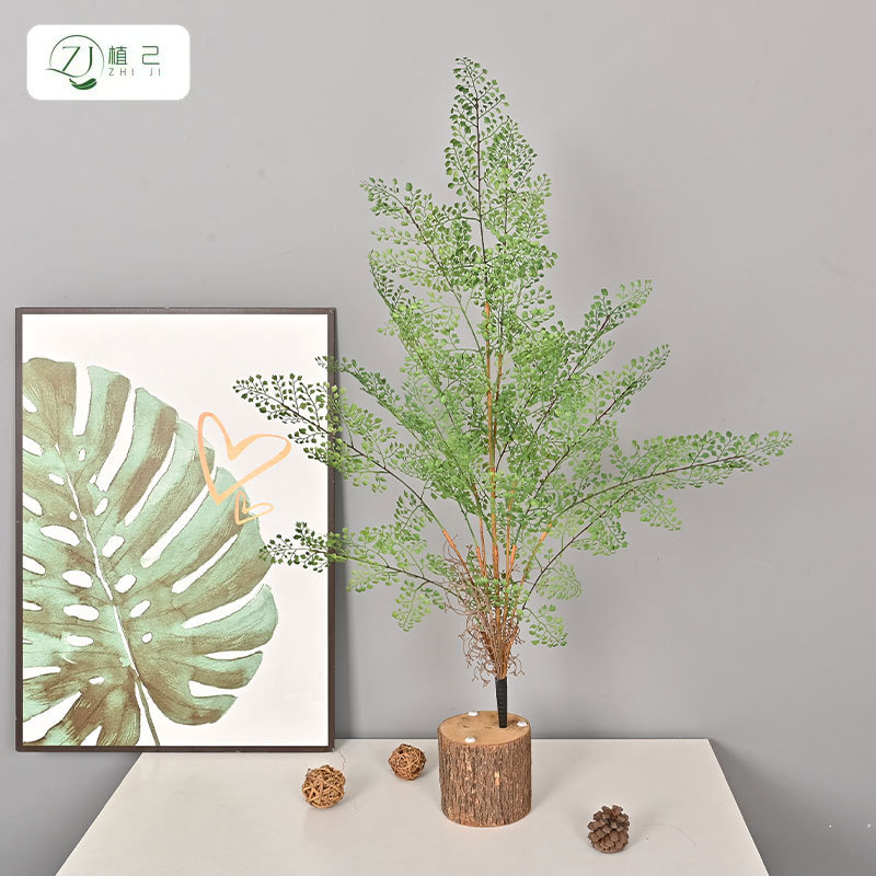 仿真绿植文竹黑骨芒把束