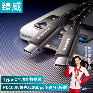 臻威 usb3.2gen2公对公4K60HzPD100W5A 全功能双头typec数据线