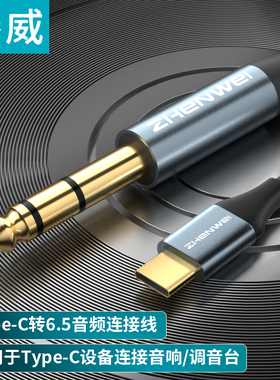 臻威(ZHENWEI)Type-c公转6.35公音频线