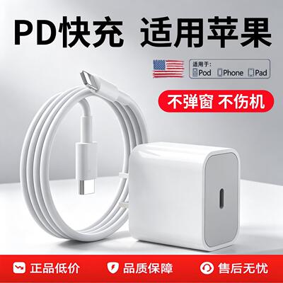 适用苹果iPadAir2数据线平板电脑六代充电器线A1566快充iPad专用mini4/5/Air1/2/3/2017/2018/2019闪充原套装
