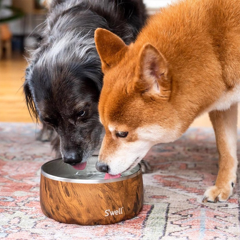Swell宠物碗猫咪饮水碗不锈钢一体狗碗盆大口径专用防打翻慢食碗,宠物/宠物食品及用品,猫狗碗/慢食碗,淘宝优惠券,粉丝福利购,淘宝优惠卷