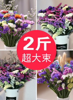 装饰摆件按斤卖勿忘我干花