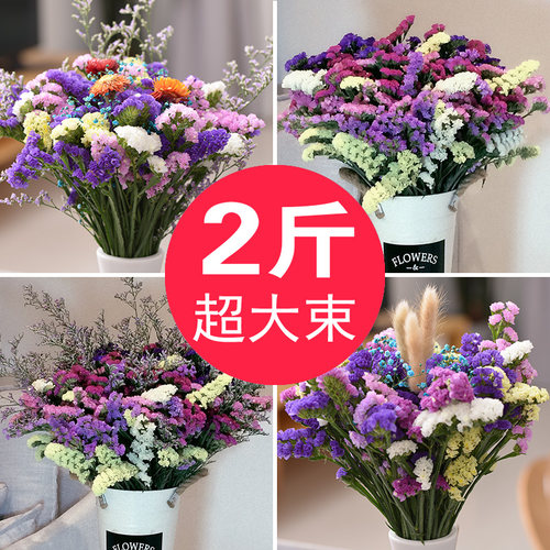 云南天然风干干花花束勿忘我真花装饰摆件客厅大束插花满天星批发