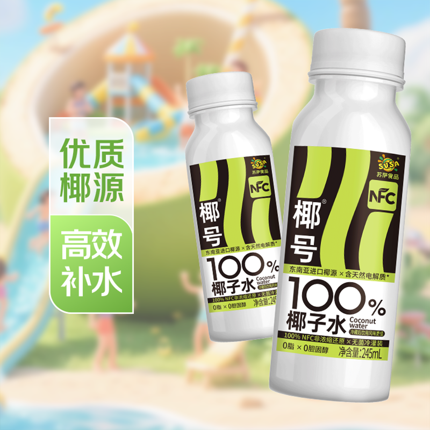 椰号100%椰子水245ml*10瓶