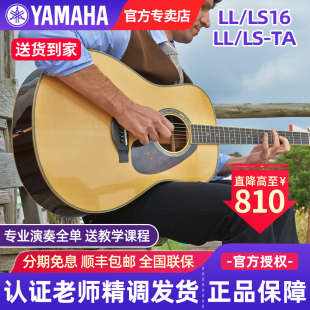 LLTA加震左手单板民谣电箱木吉他 LS16 雅马哈全单吉他LL6 LL16D