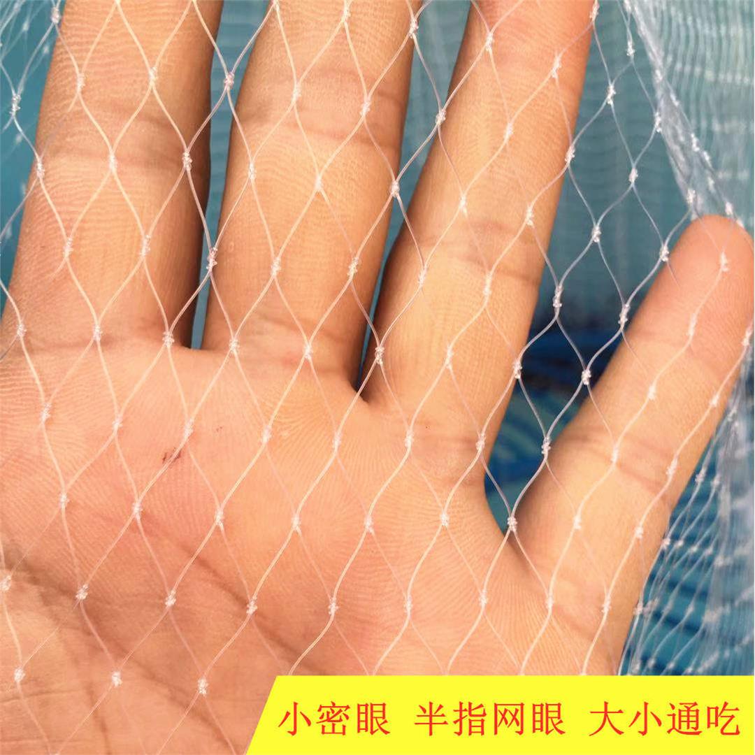 撒网大飞盘手抛网渔网捕