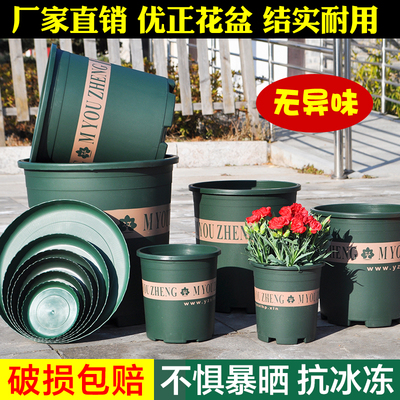 加仑青山盆结实厂家直销
