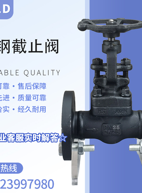 J41H-16C/25C/40C锻钢A105铸钢截止阀高压高温蒸汽阀门DN32 40 50