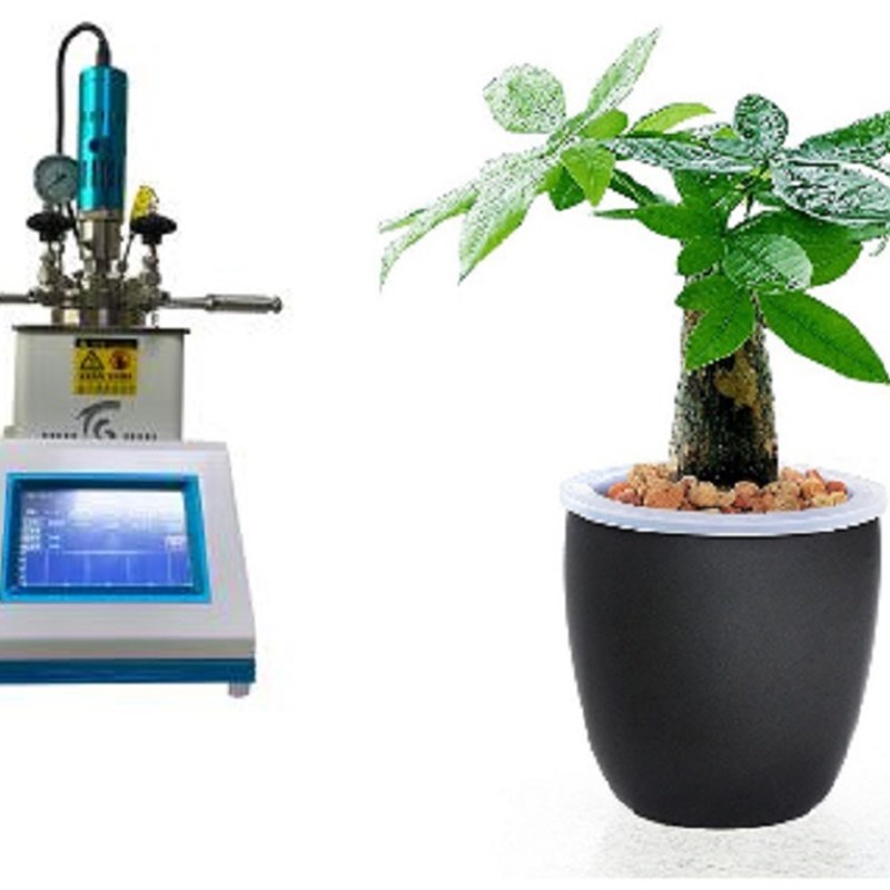 zz 实验室反应釜/机械反应釜(100ml) 型号:LN12-GR-100/SD-L