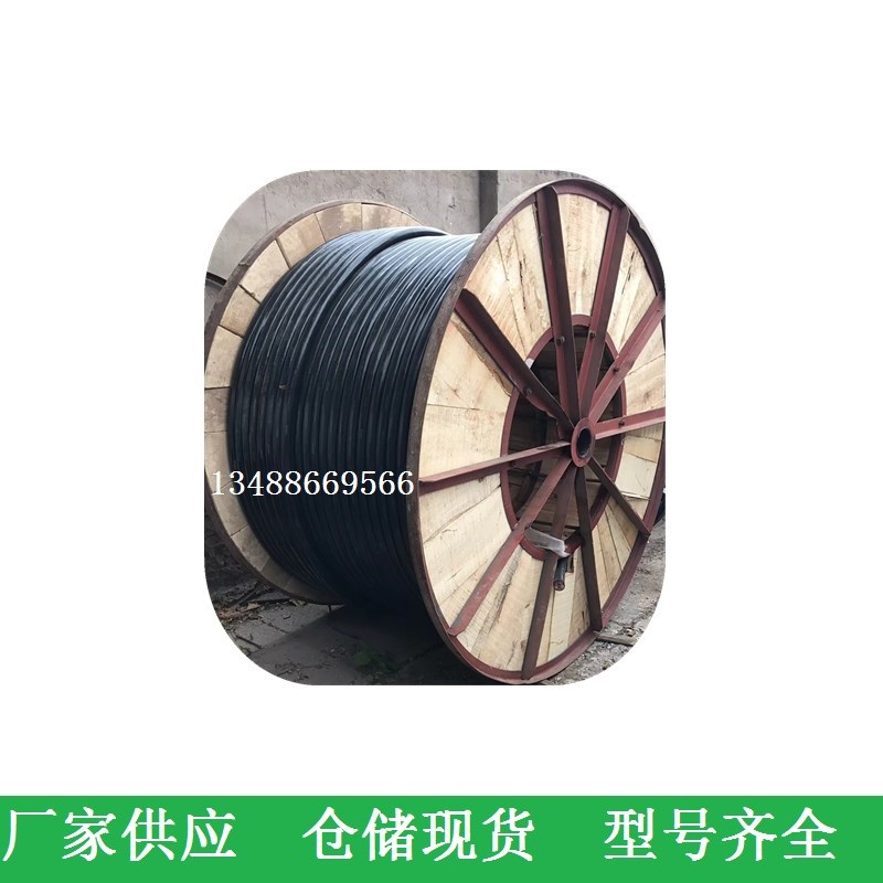 JHS深井泵电机引出线 单芯1X4 y6 10 16 25 35平方防水潜水泵电缆