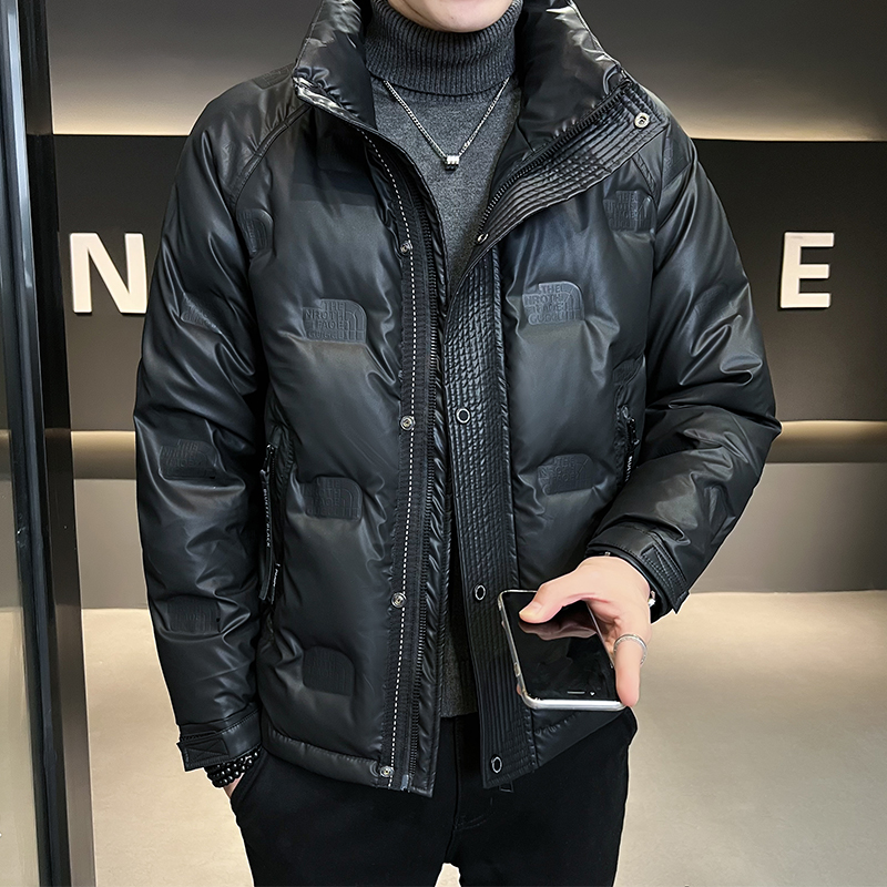 B255-16891-P17580白鸭绒M-3XL店主风男士休闲简约皮羽绒外套男，男装羽绒服，电商B255