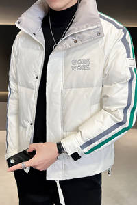 B255-8851-P175 2022冬季新立领简约百搭帅气高品质羽绒服外套男图片