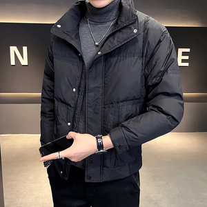 B255-001-P175-控248  80白鸭绒 店主风新款男士简约羽绒服男图片