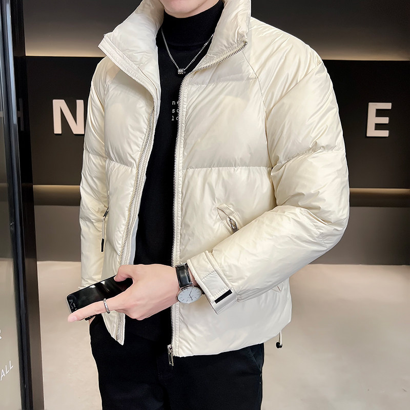 B255-6608-P165 2022冬季立领男士简约纯色高品质羽绒服休闲外套图片