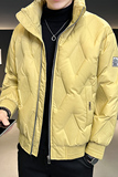 B255-F1813-P185店主风简约百搭商务高品质立领羽绒服外套男，男装羽绒服，电商B255
