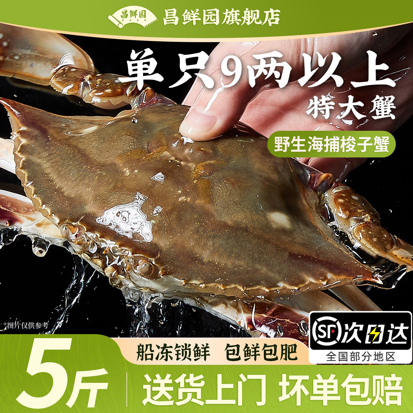 舟山梭子蟹特大野生净重5斤新鲜冷冻大螃蟹公蟹海鲜水产冻蟹飞蟹