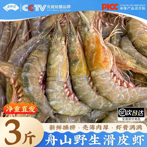 【舟山顺丰直发】滑皮虾2000g