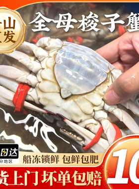 舟山全母梭子蟹4斤新鲜蟹活冻特大野生螃蟹海鲜飞蟹顺丰【冻蟹】