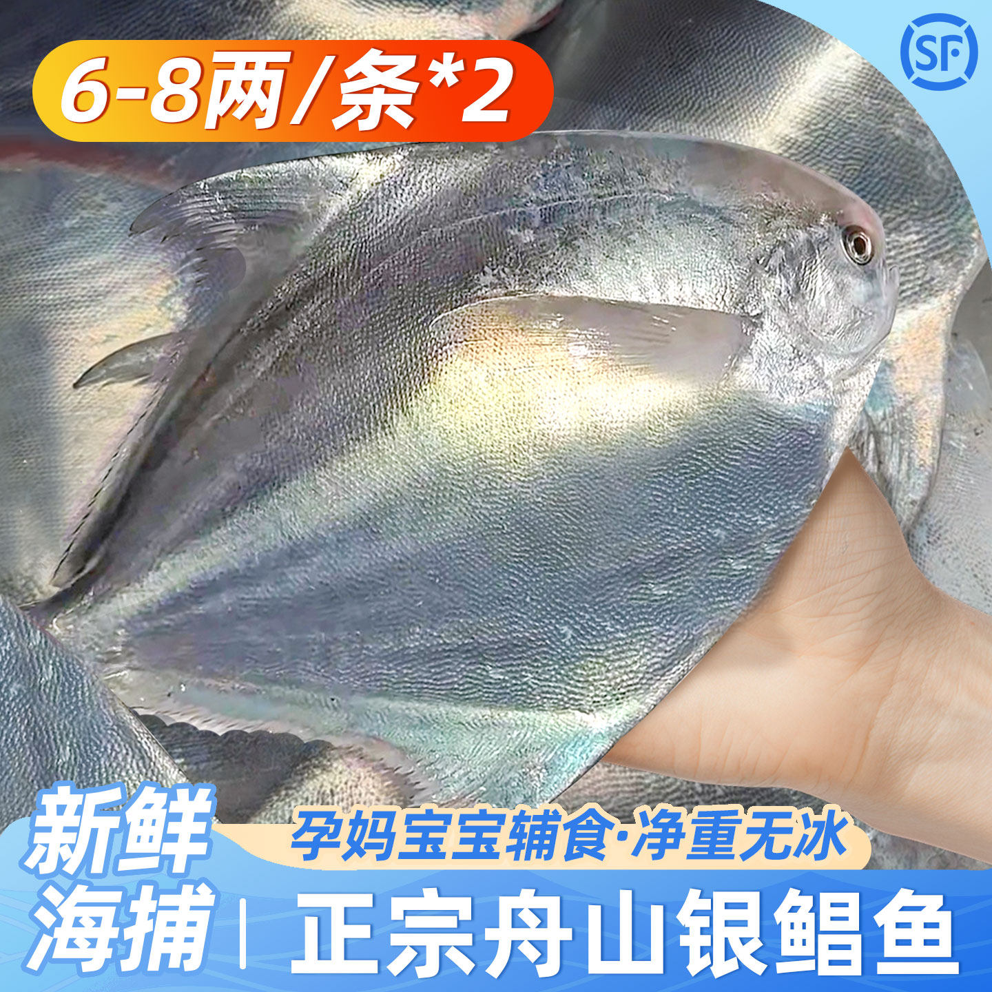 野生银鲳鱼新鲜冷冻舟山海鲜平鱼白鲳鱼特大鲳鳊鱼昌鱼海捕水产