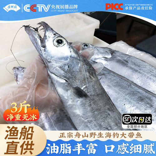 【1.3斤/条】3条特大舟山带鱼