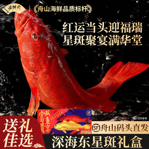 深海东星斑高端礼盒【2条装】