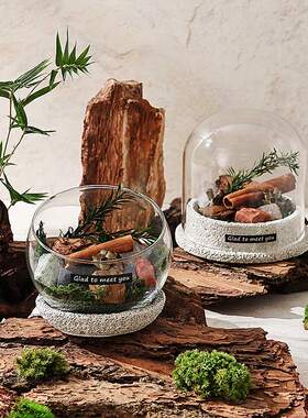 扩香石香薰小众植物摆件天然矿石水晶石扩香器无火香氛生日礼物