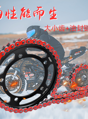 适用于川崎摩托车KLV1000 04-06改装大小飞链轮静音油封链条套链