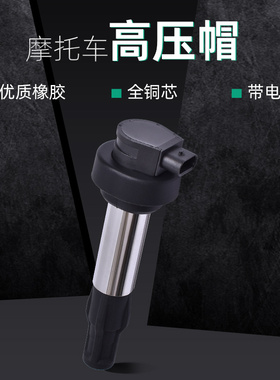 适用宝马G310GS/R F750/800/850GS F900R/XR/GS点火线圈高压包